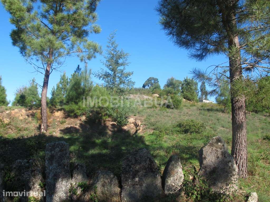 Pouco mais de um hectare de terreno com belas vistas para a montanh... - Grande imagem: 4/6