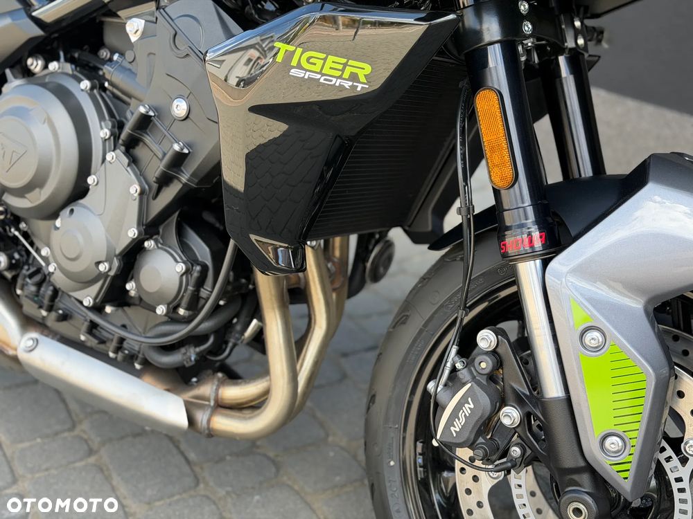 Triumph Tiger - 8