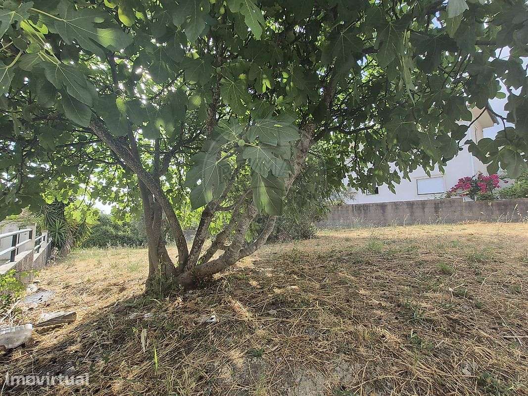 Terreno  para venda - Grande imagem: 5/10