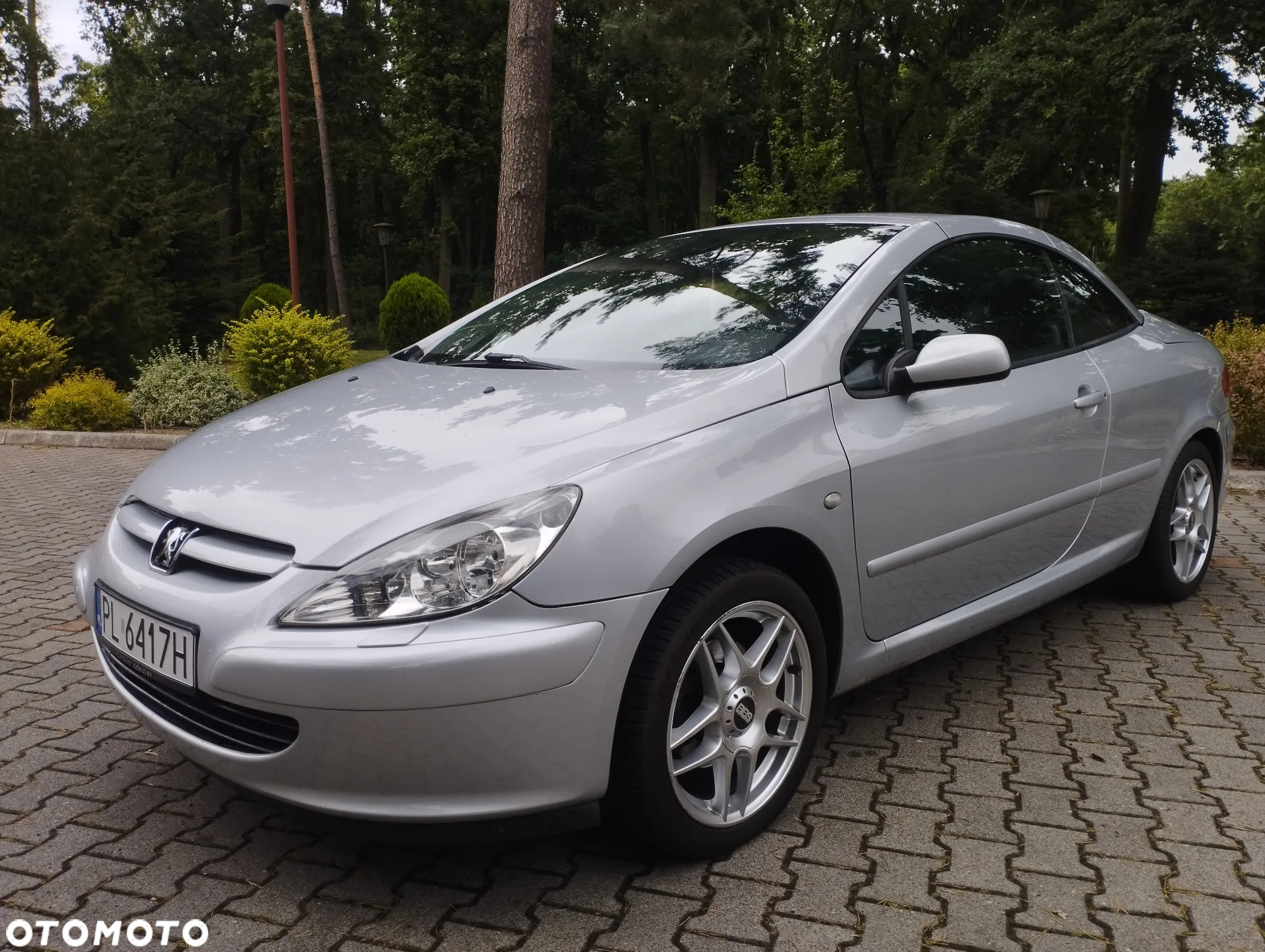 Peugeot 307 CC 135 - 15