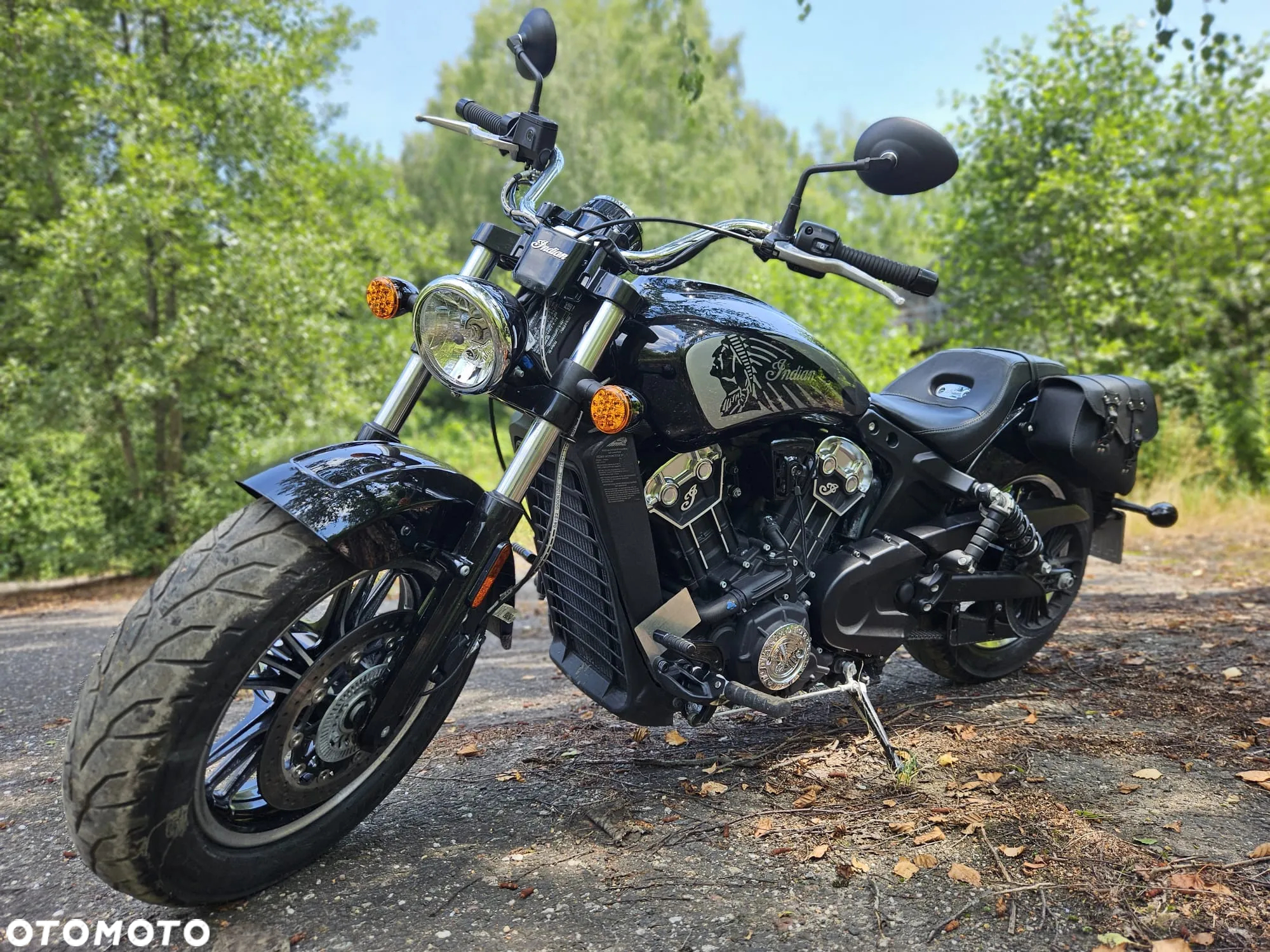 Indian Scout - 7