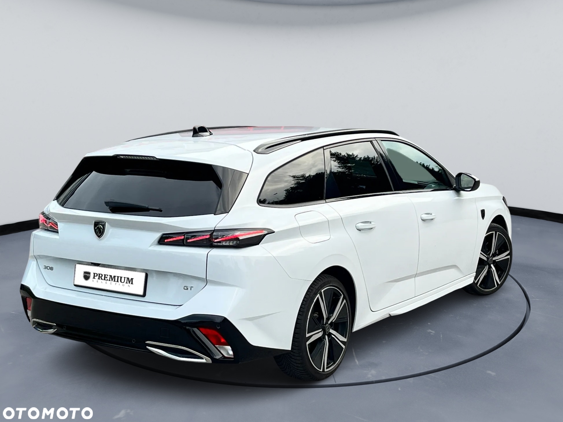 Peugeot 308 1.2 PureTech GT S&S EAT8 - 17