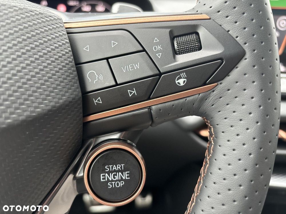 Cupra Terramar 2.0 TSI 4Drive DSG - 24