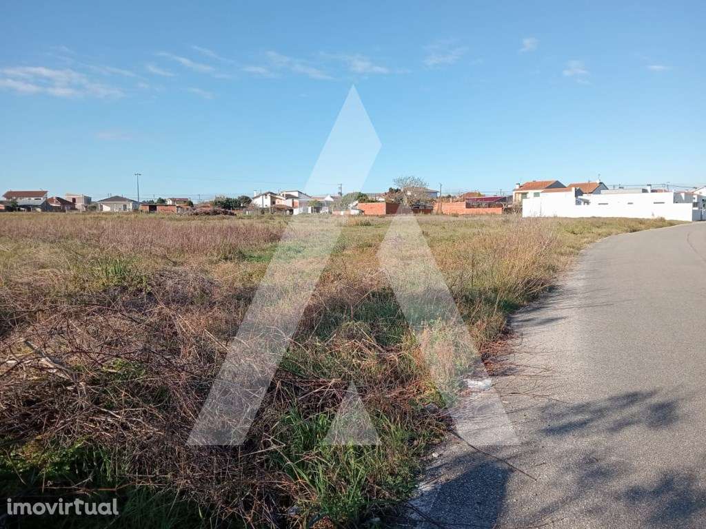 Terreno em Calvão - Vagos - Grande imagem: 2/14