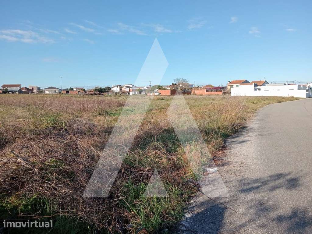 Terreno em Calvão - Vagos - Grande imagem: 2/14