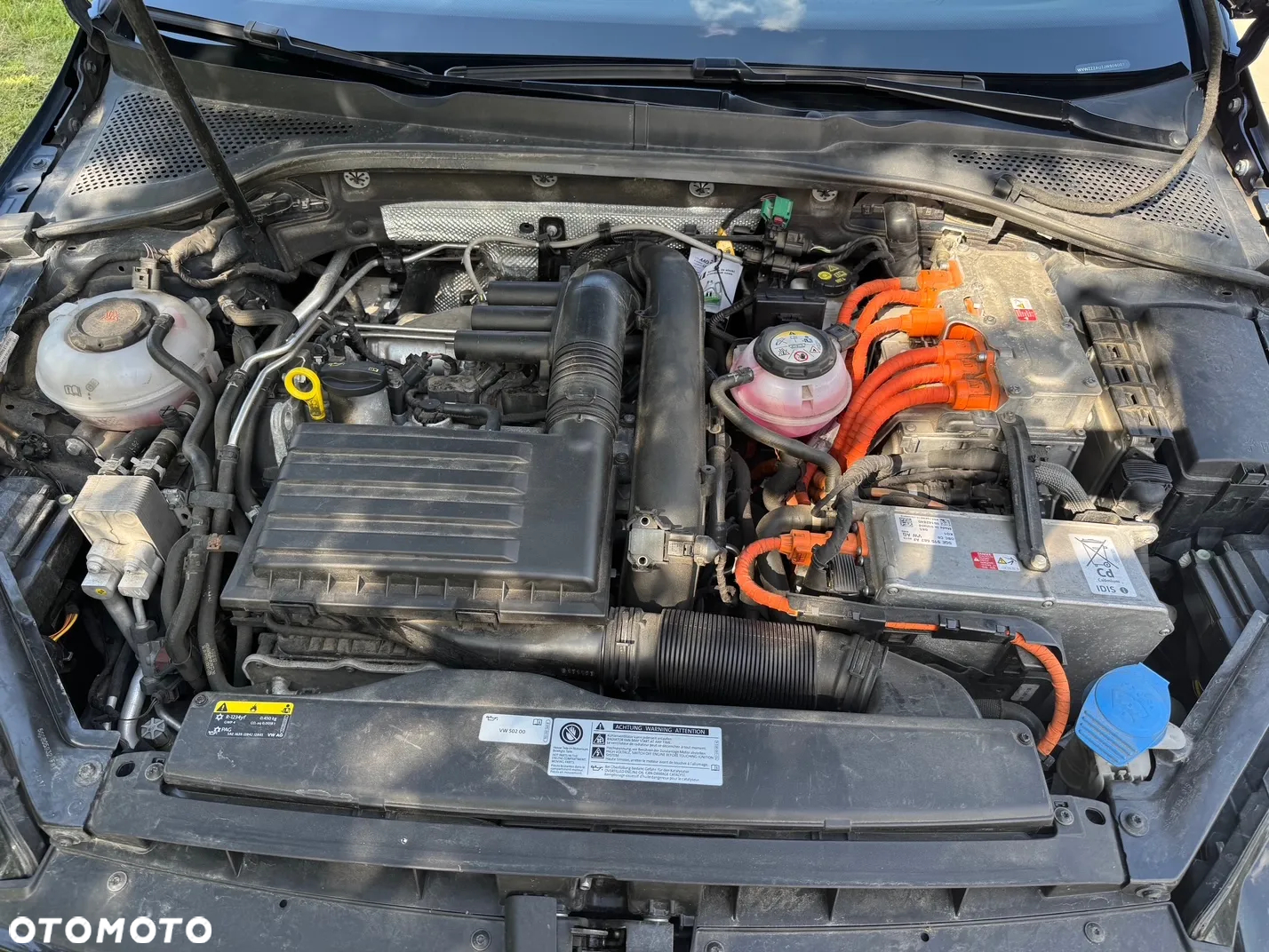 Volkswagen Golf - 16