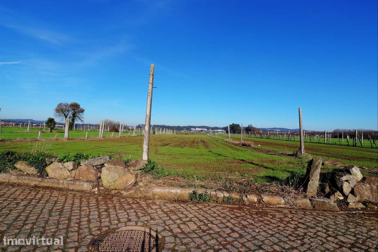 Terreno Rústico  Venda em Bougado (São Martinho e Santiago),Trofa - Grande imagem: 4/8
