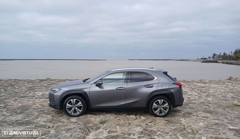 Lexus UX 300e Luxury - 4