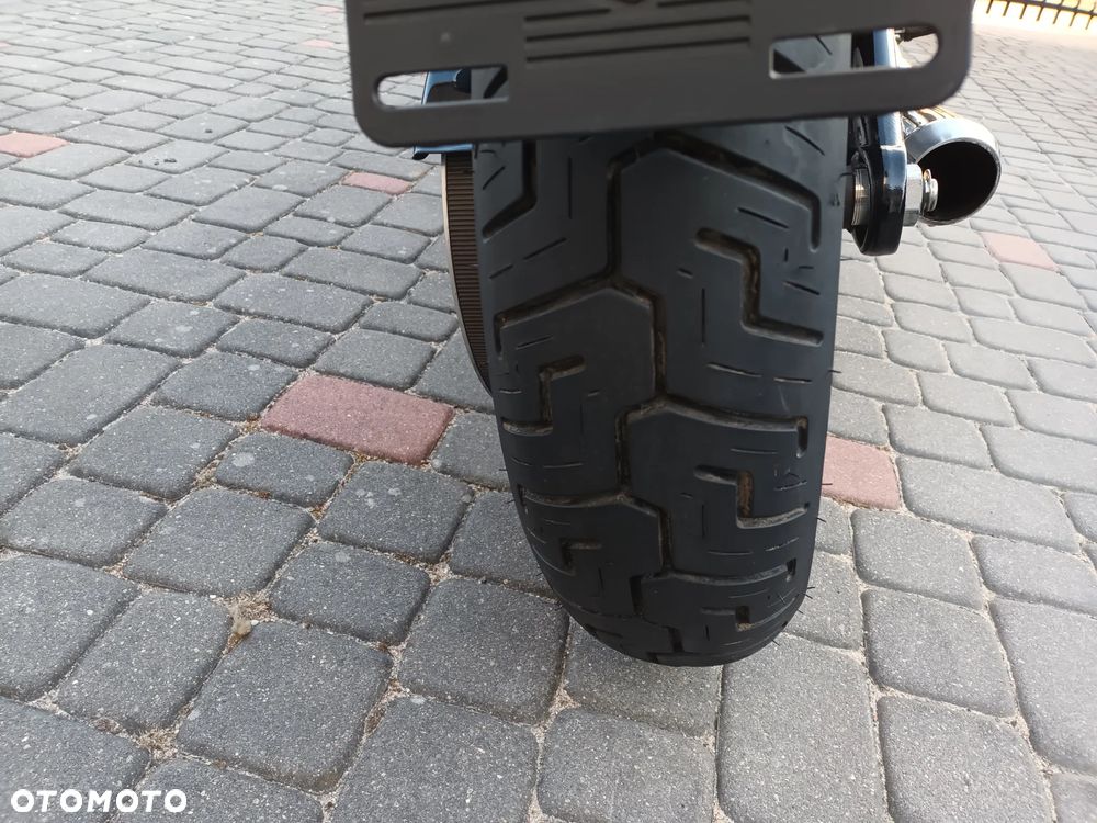 Harley-Davidson Softail Standard - 6