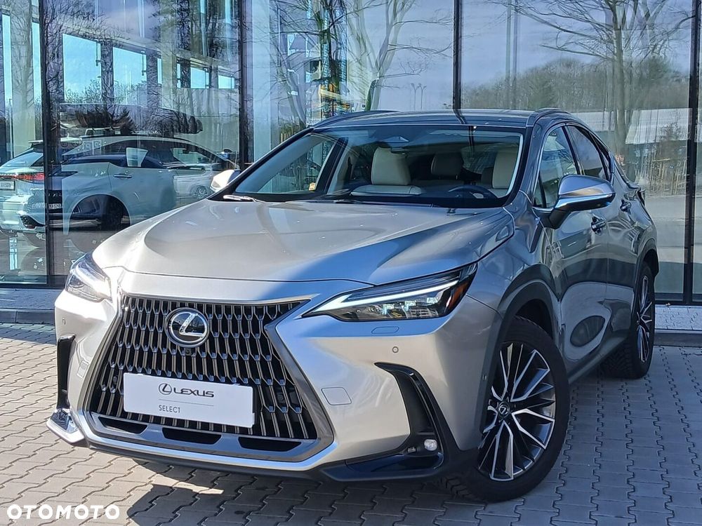 Lexus NX - 10