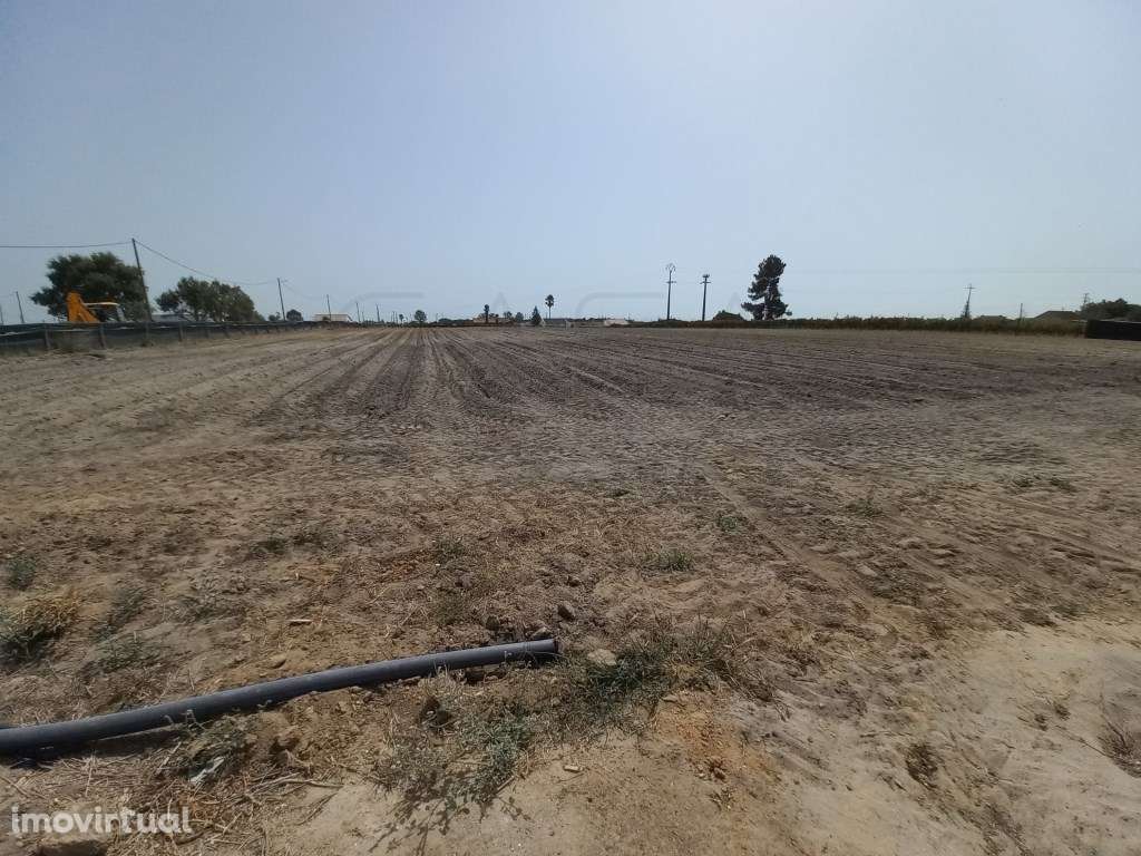 Terreno Rústico para arrendamento - Grande imagem: 4/17