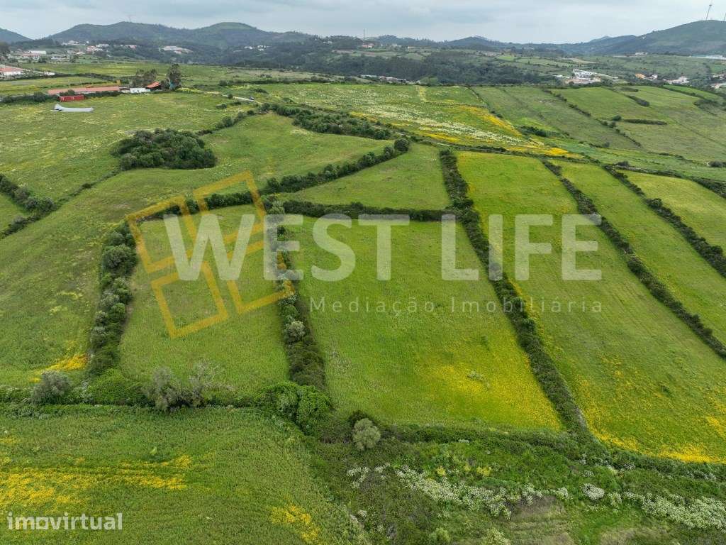Terreno Rústico com 17000m2 - Agroflorestal e agrícola - Com curso ... - Grande imagem: 5/12