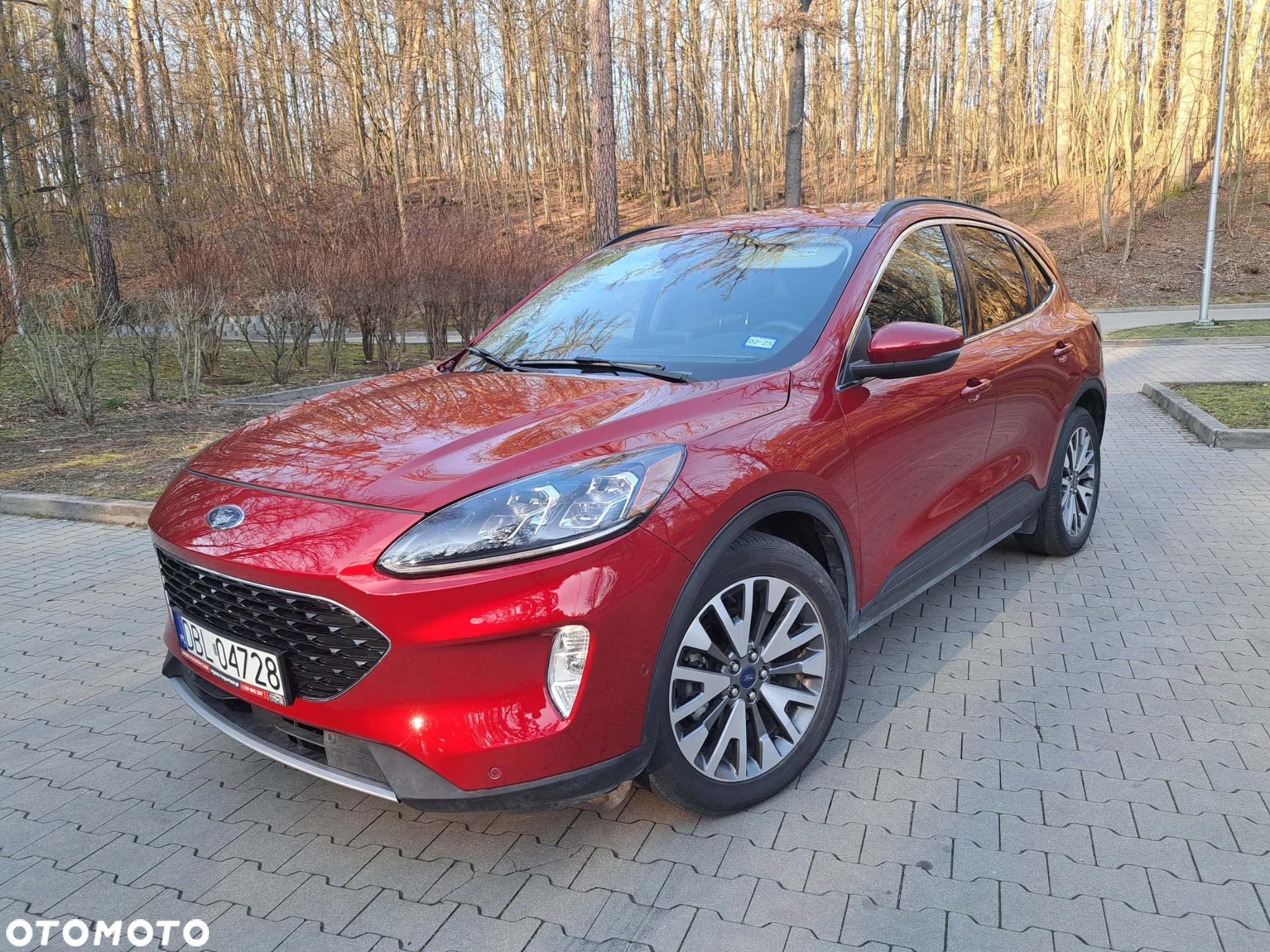 Ford Escape - 2