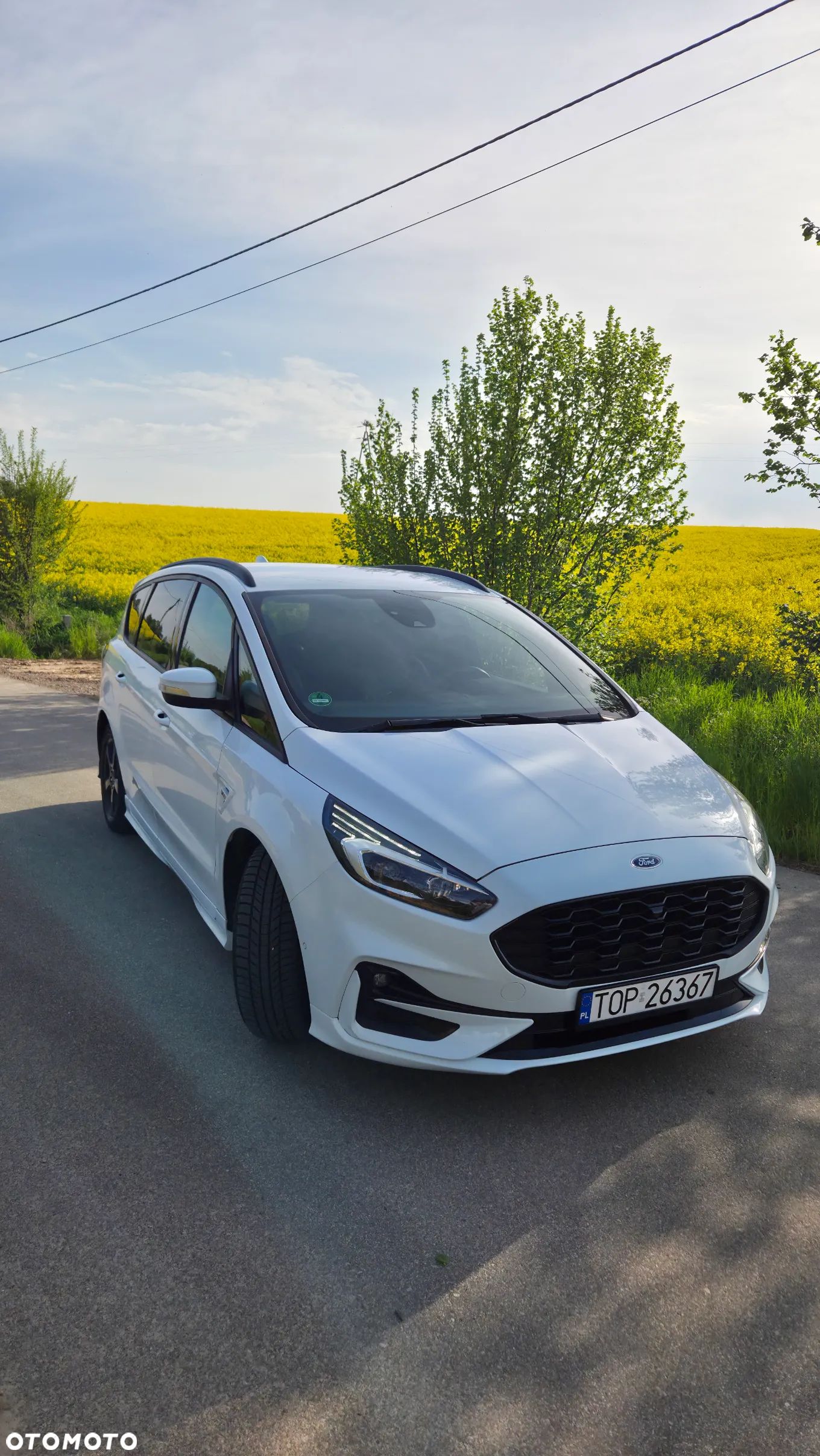 Ford S-Max 2.0 EcoBlue ST-Line - 1