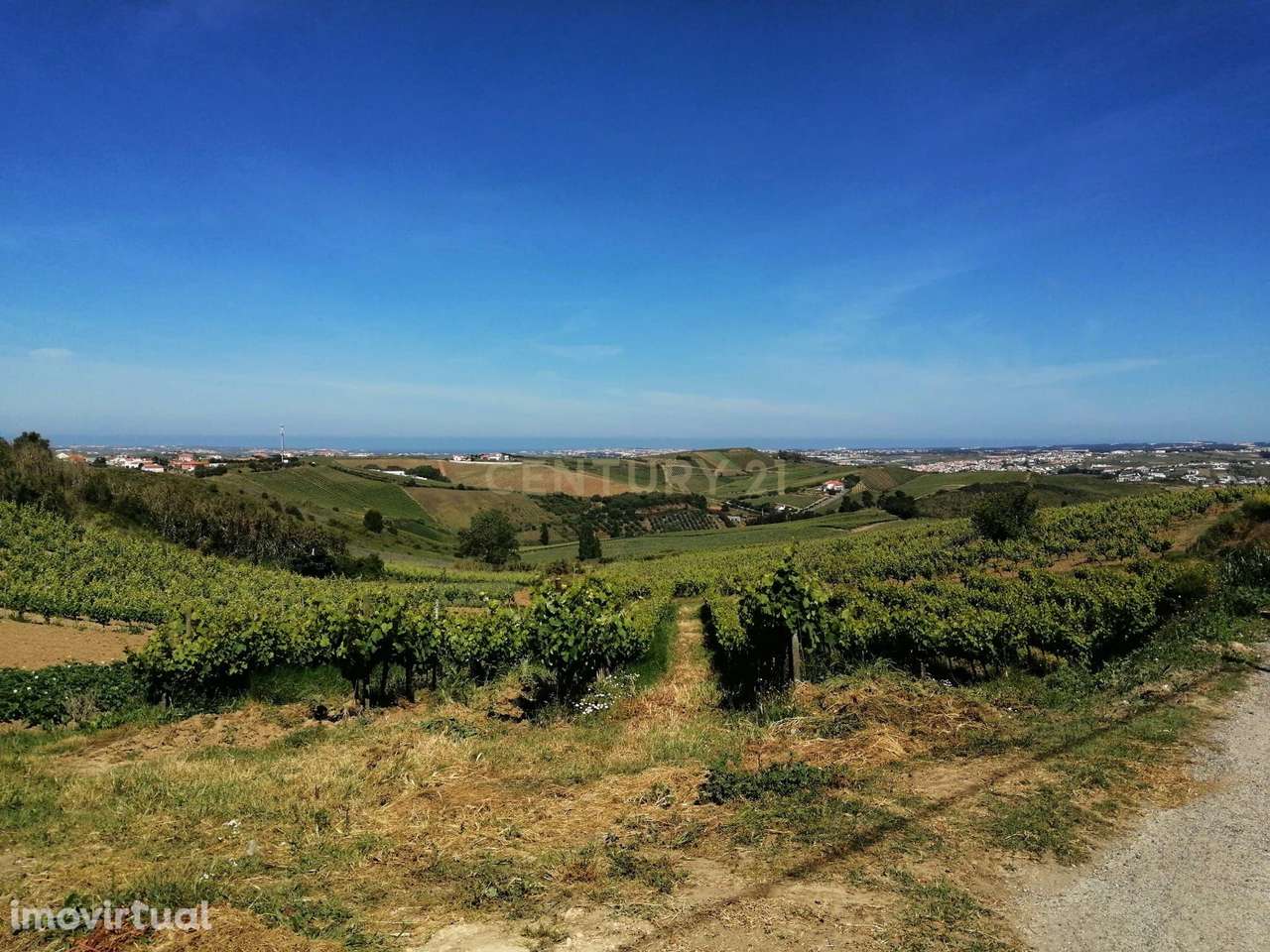 Terreno com viabilidade de construção - Vista desafogada - Grande imagem: 2/18