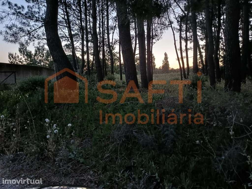 Terreno de 3.920 m² em Alfeizerão | Proximidade Foz do Arelho - Grande imagem: 5/6