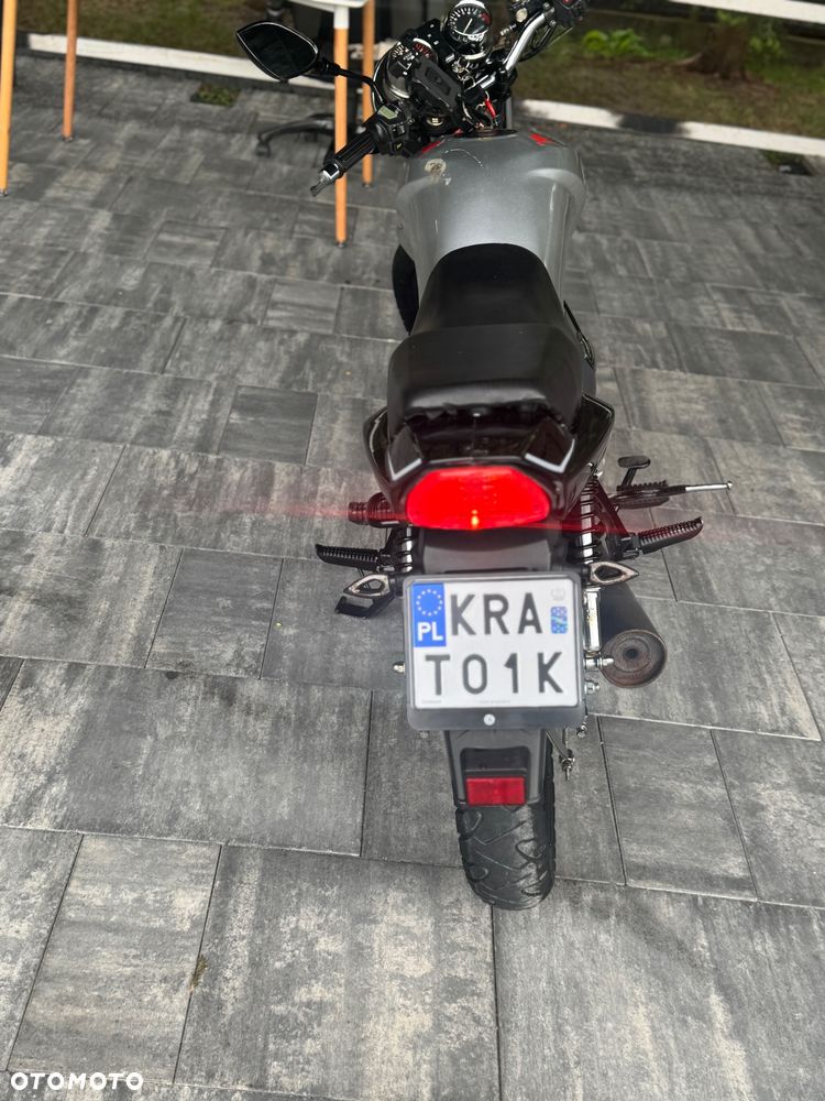 Romet Zetka - 14