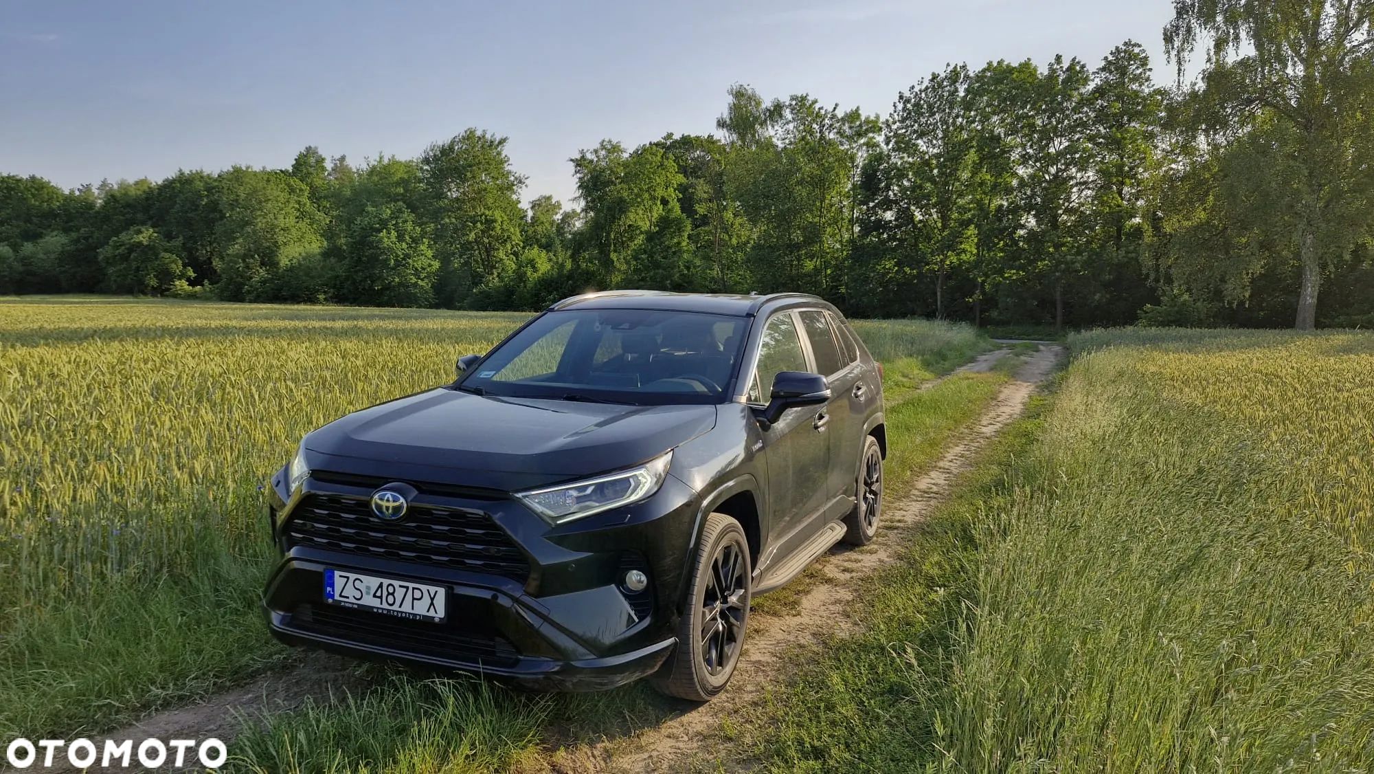 Toyota RAV4 2.5 Hybrid Black Edition by JBL 4x4 - 1