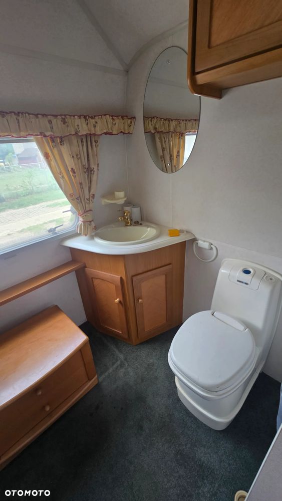 Avondale Avocet Golden - 10