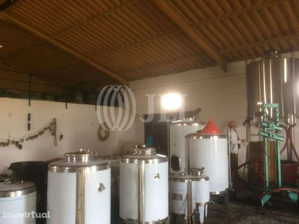 Quinta com 9 hectares, no Alto Douro Vinhateiro, Porto - Grande imagem: 4/22
