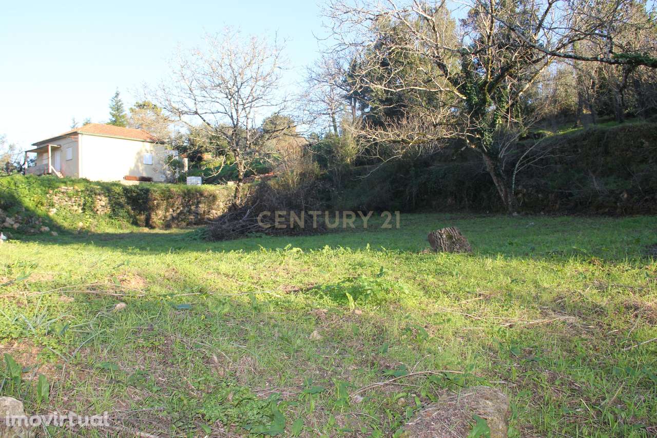 Fantástico terreno para moradia - Grande imagem: 2/27