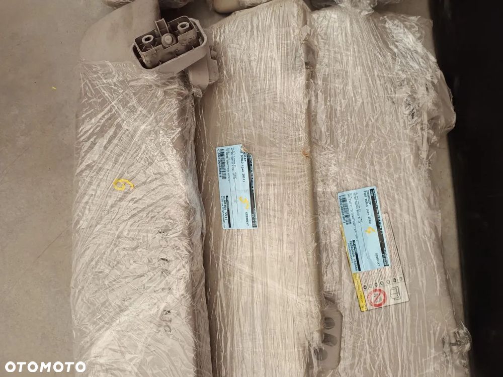 SŁONECZNIKI FIAT - 3