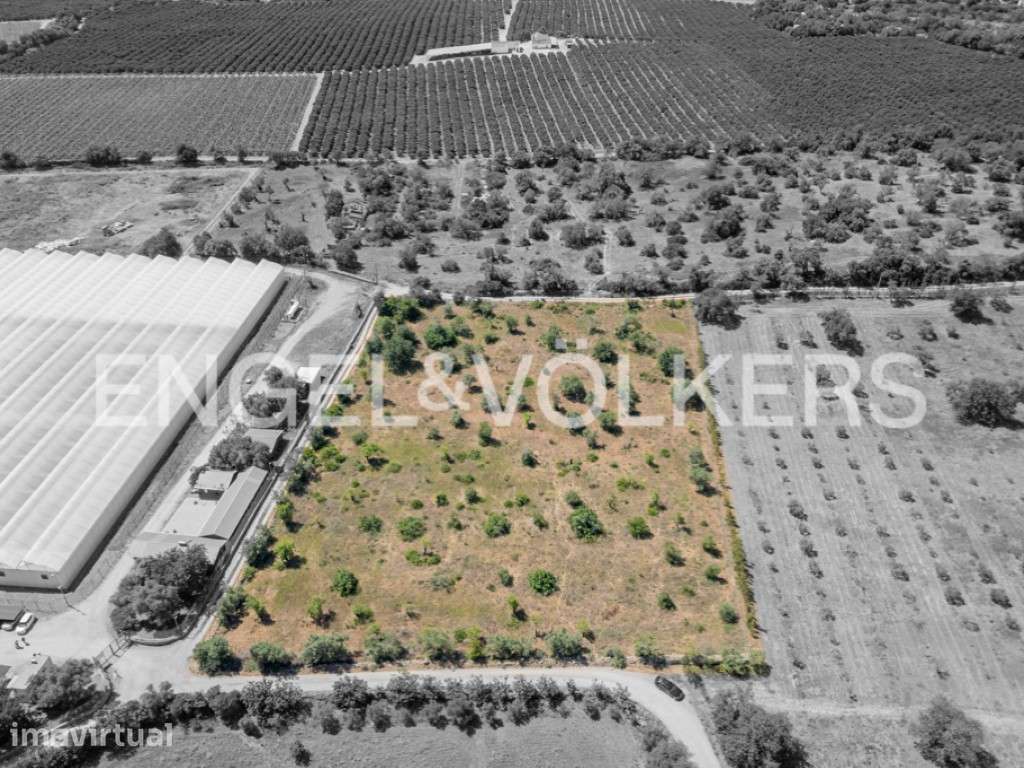 Terreno Rústico com Potencial Agrícola - Grande imagem: 4/21