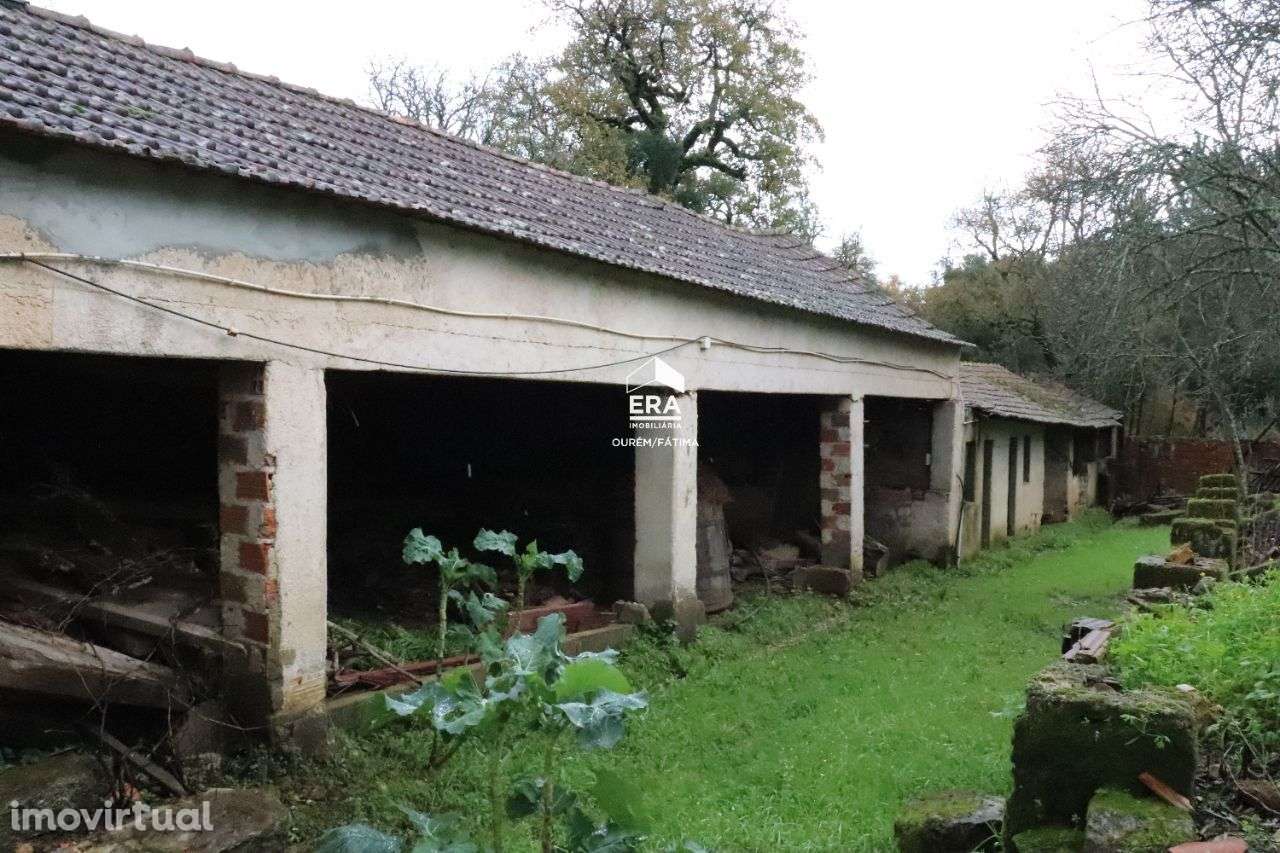 Moradia T3 em Maçãs de Dona Maria! - Grande imagem: 5/13