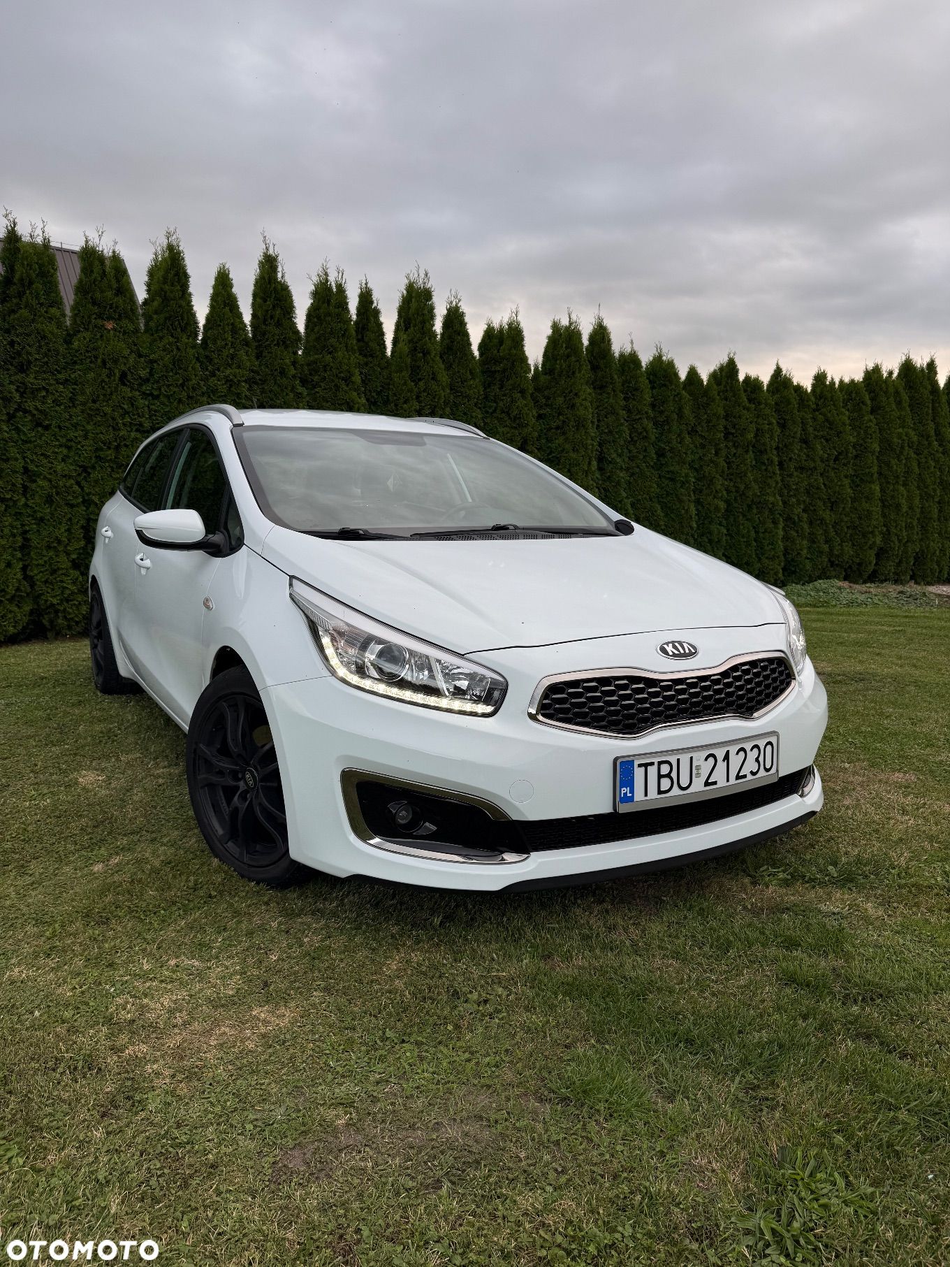 Kia Ceed - 1