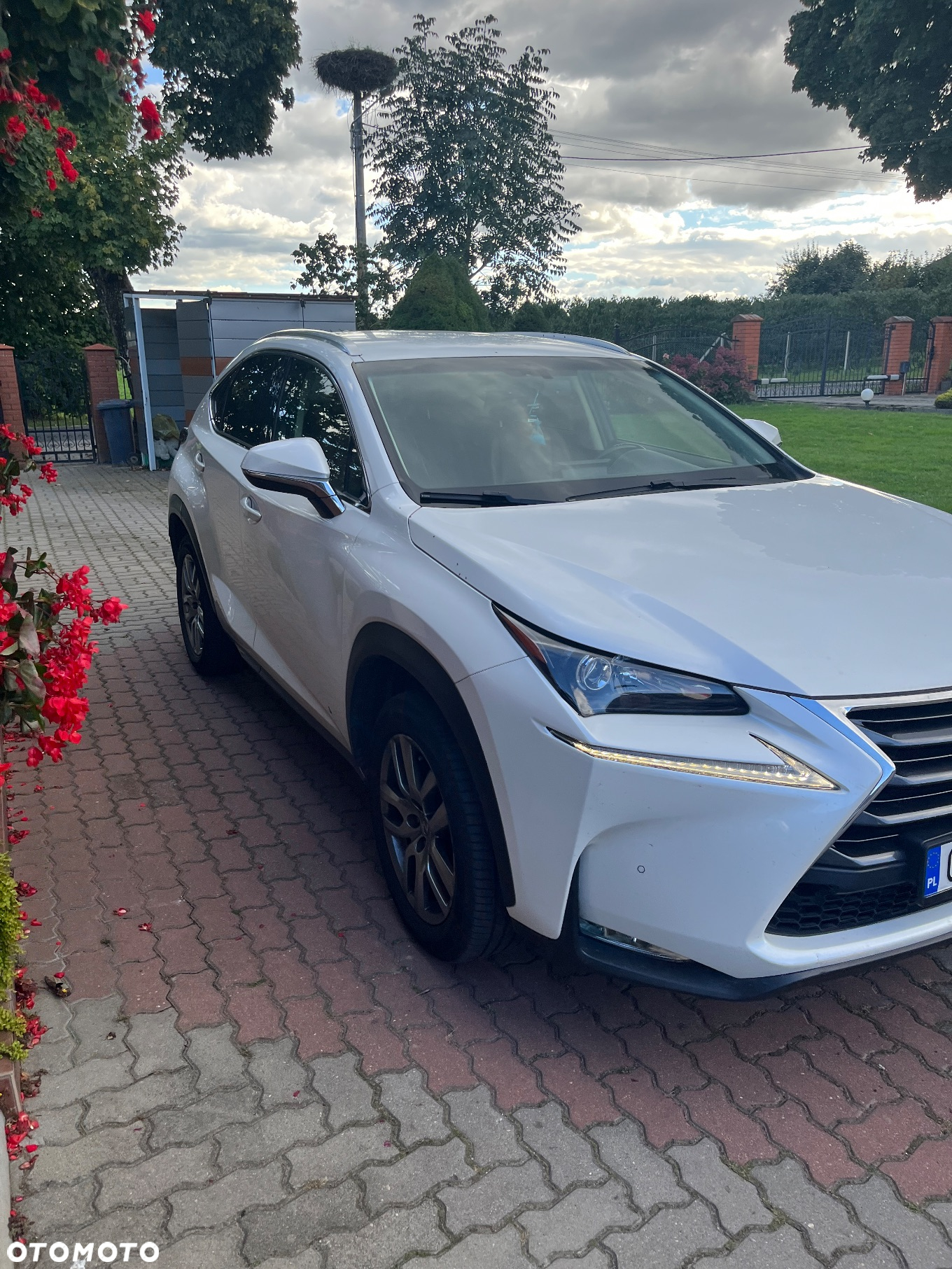 Lexus NX 200t Comfort AWD - 4