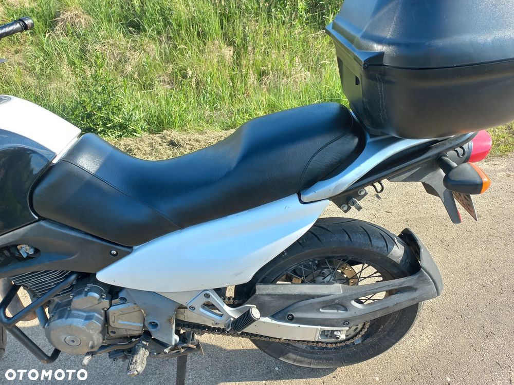 Suzuki XF - 13