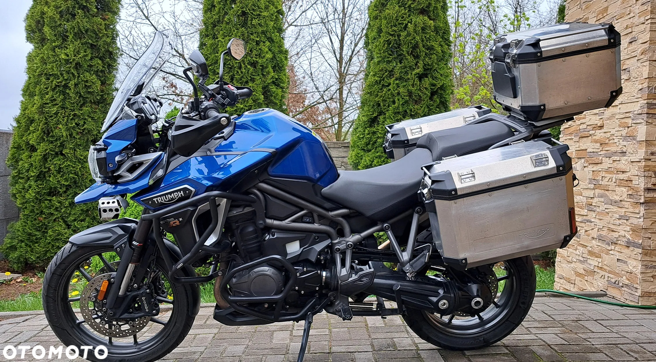 Triumph Tiger - 2