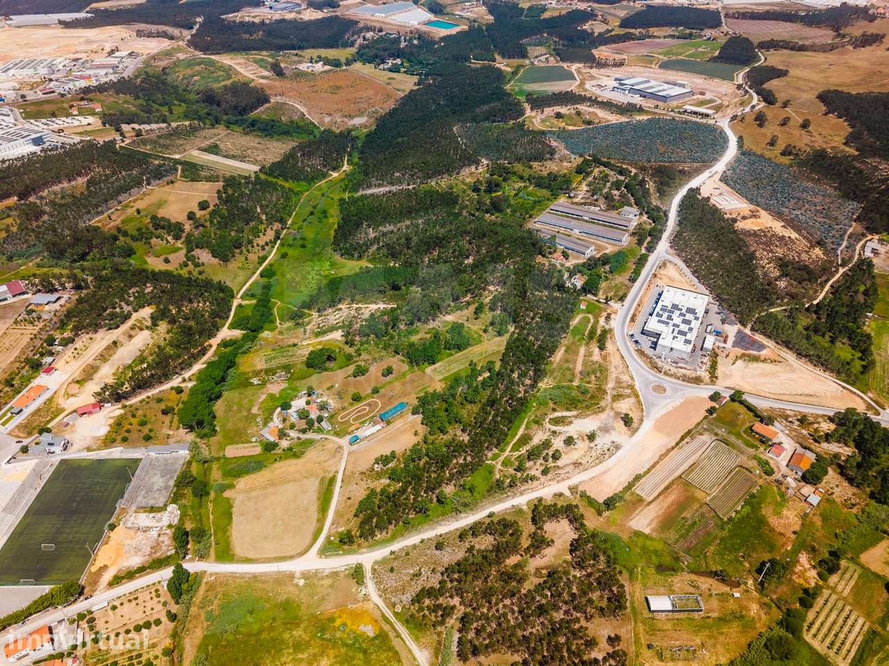 Terreno com quatro hectares e meio perto de indústria, no concelho ... - Grande imagem: 5/18