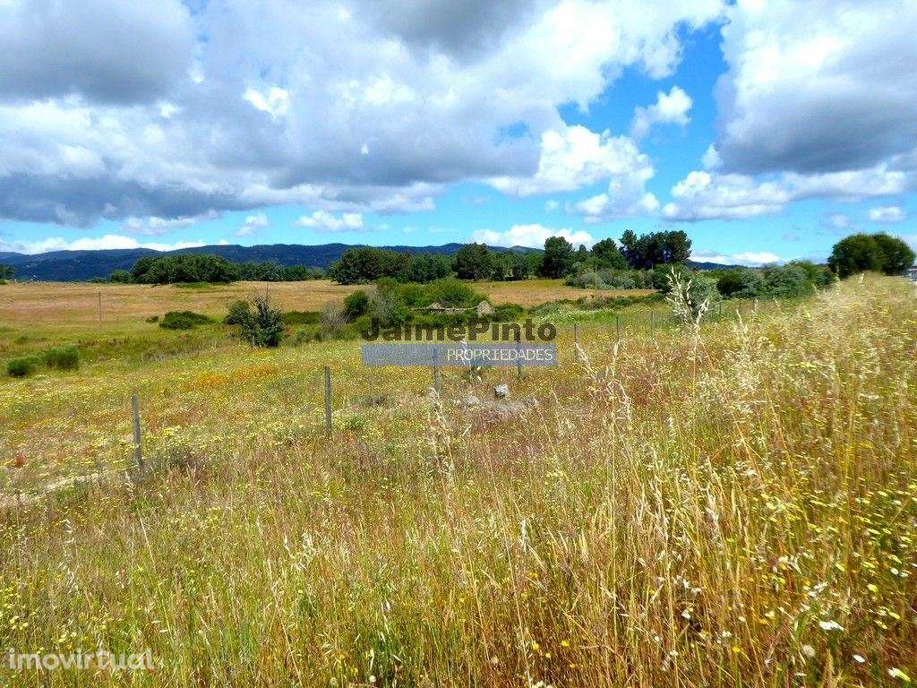Propriedade 80,1ha de Cultivo Agrícola. Portugal, Belmonte, Castelo... - Grande imagem: 3/4