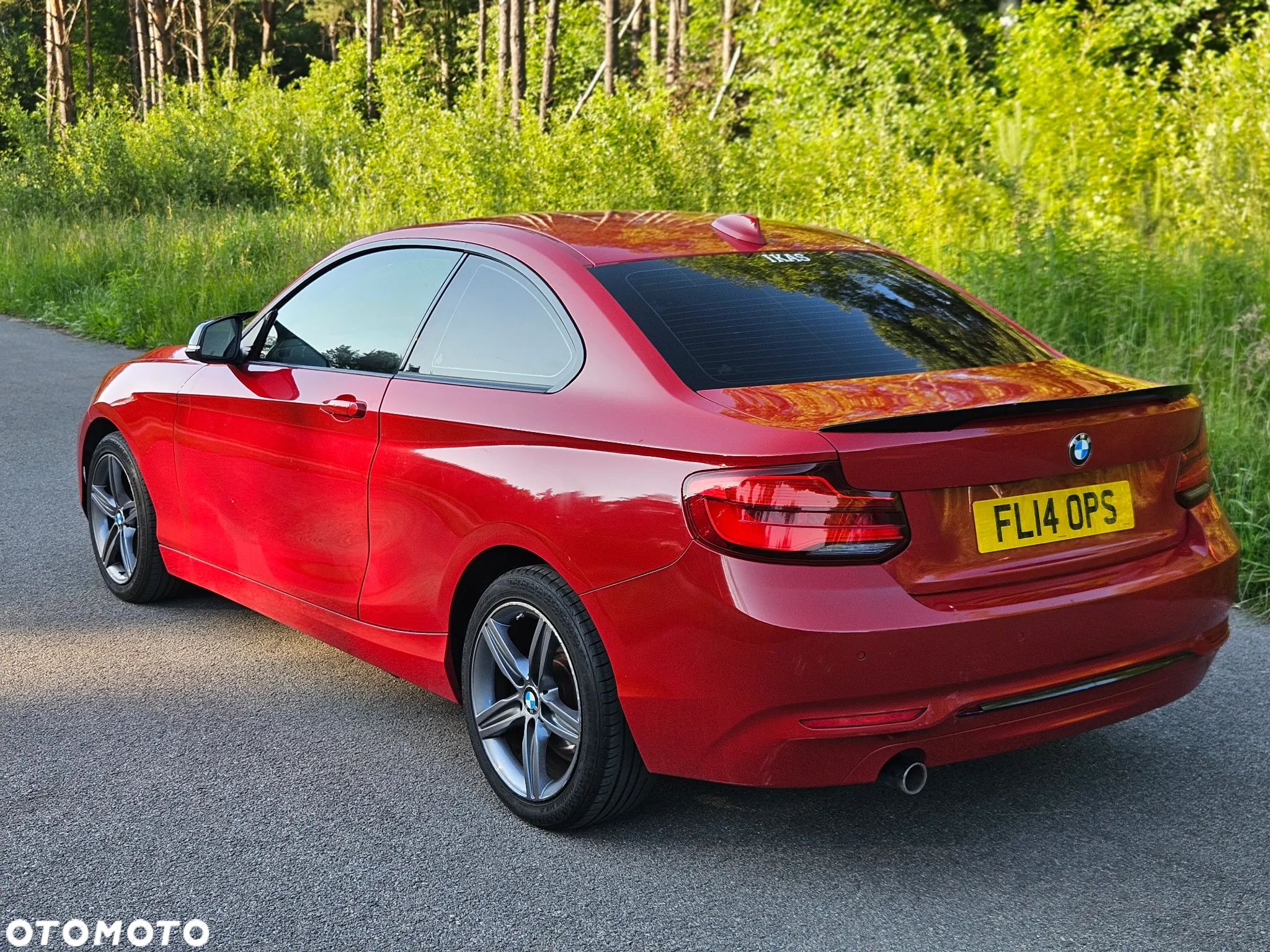 BMW Seria 2 218d Coupe Sport Line - 24