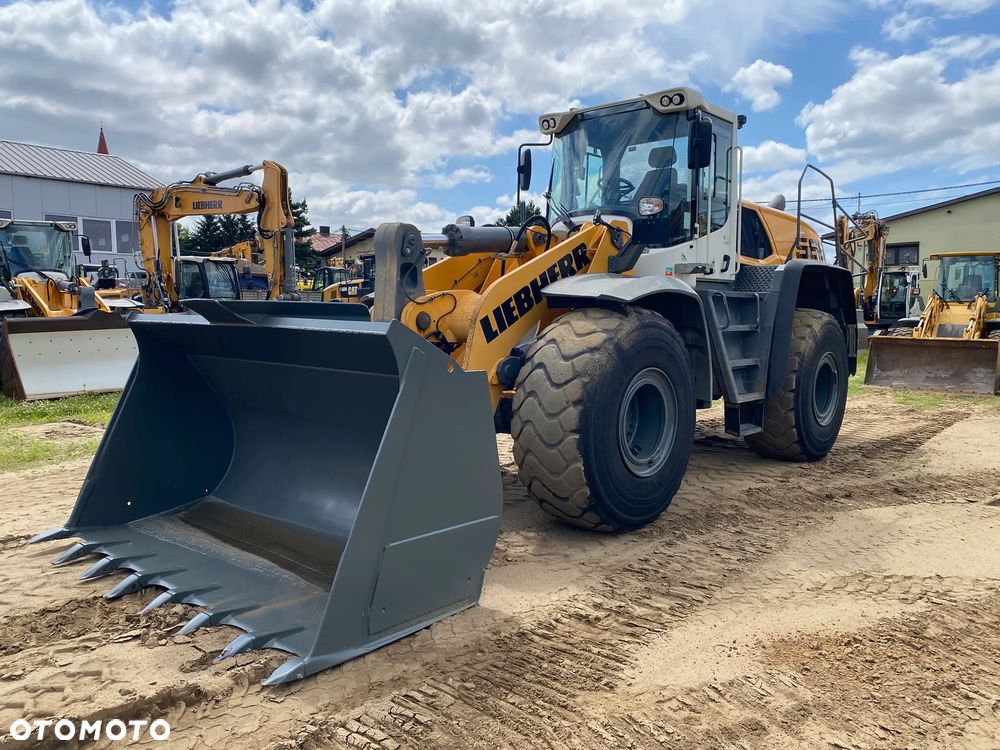 Liebherr L566 Xpower, 2020 ROK, WAGA W ŁYŻCE, z NIEMIEC, - 11