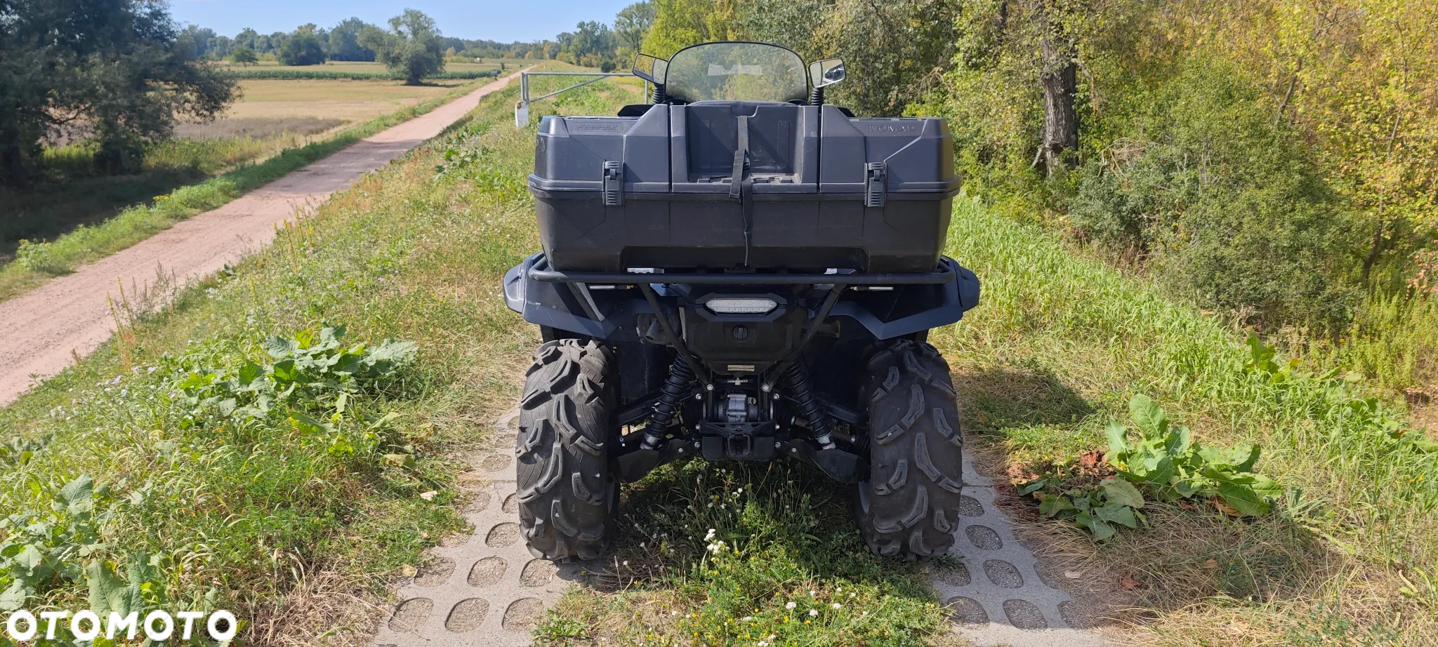 Yamaha Grizzly