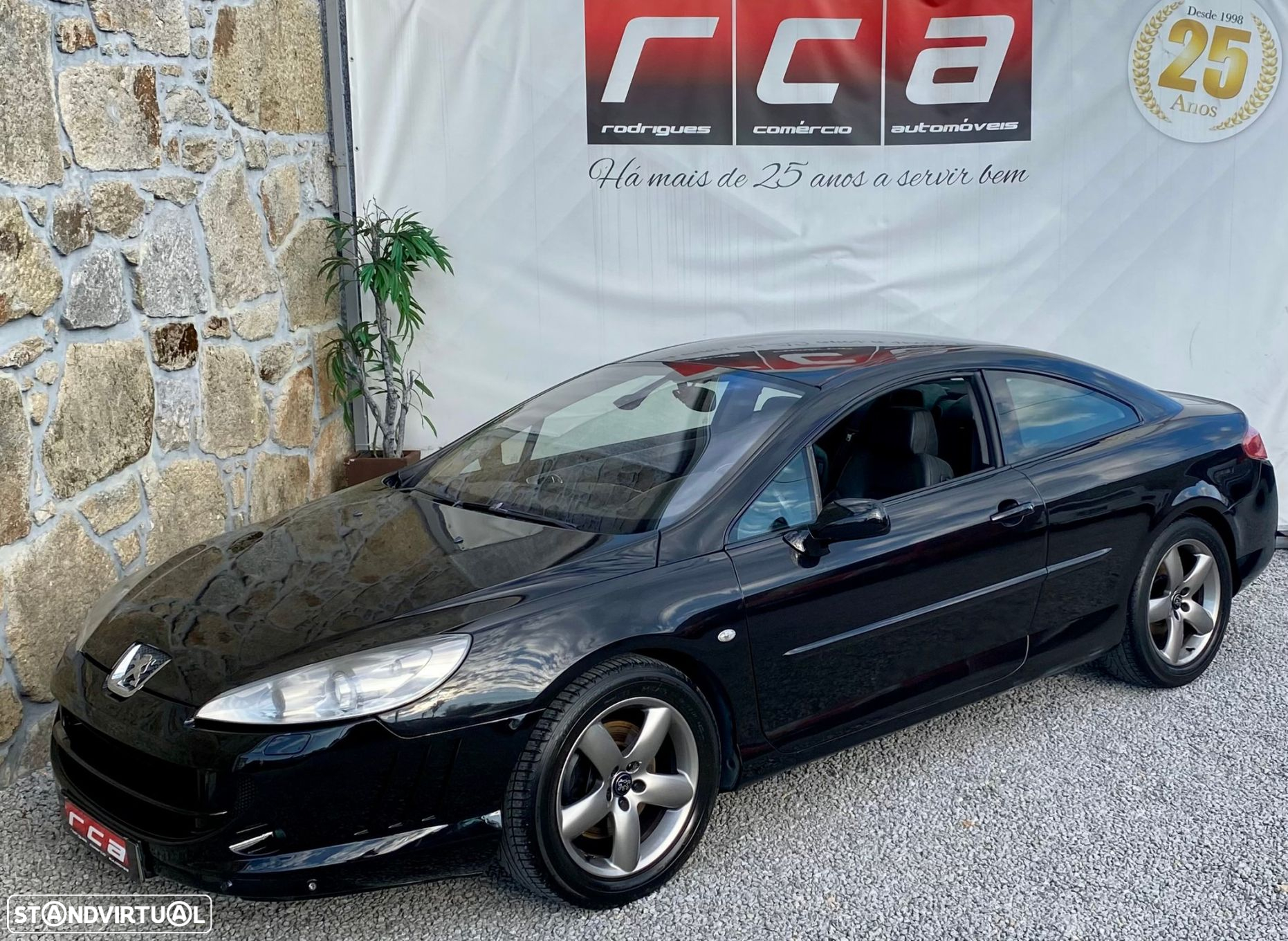 Peugeot 407 - 22