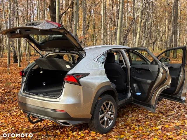 Lexus NX 300 Elegance Optimum AWD - 6