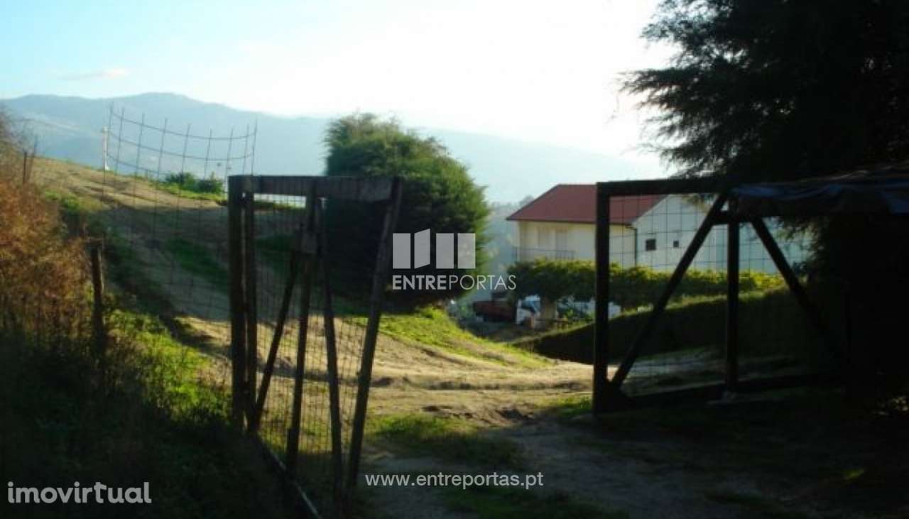 Venda Terreno, Santa Cruz do Douro, Baião - Grande imagem: 3/6