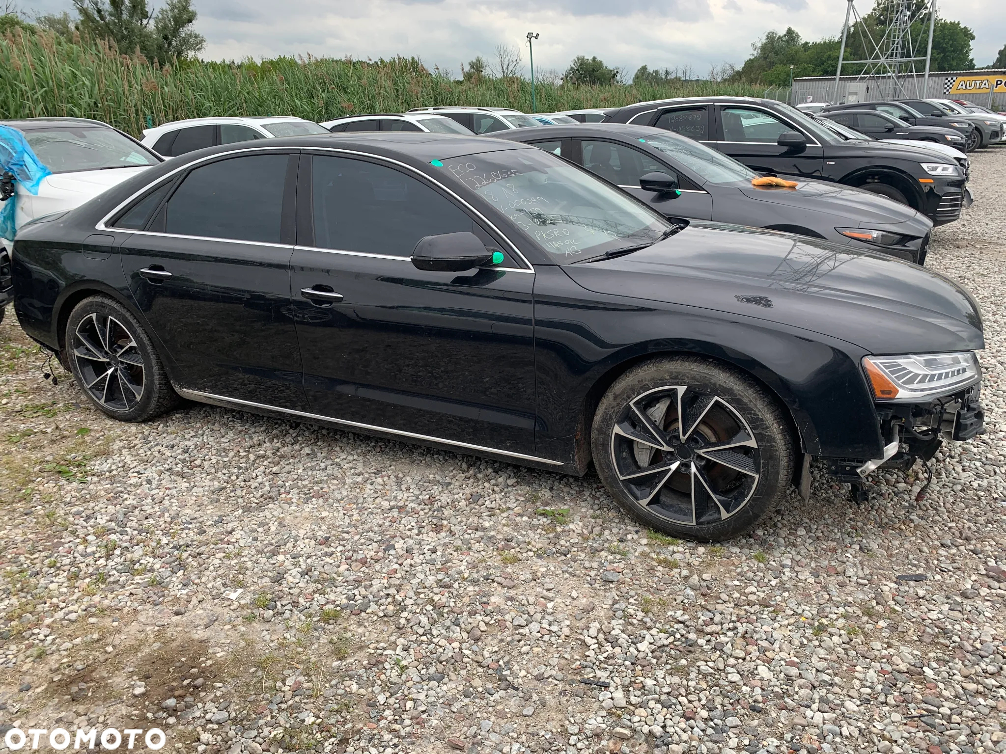 Audi A8 55 TFSI quattro tiptronic - 5