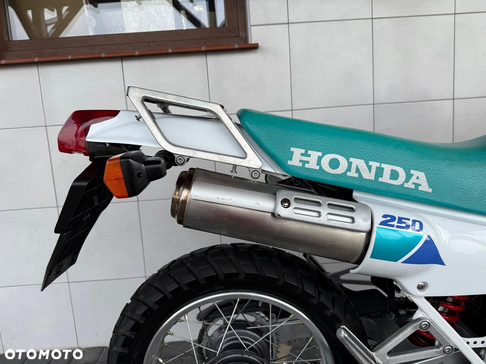 Honda NX - 11