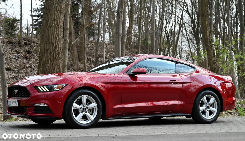Ford Mustang - 17