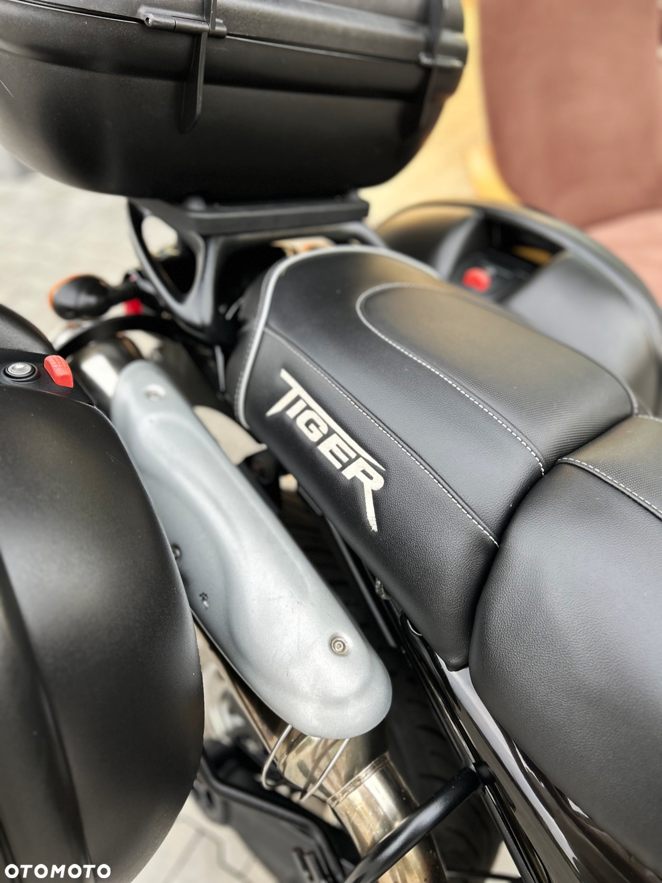 Triumph Tiger - 13