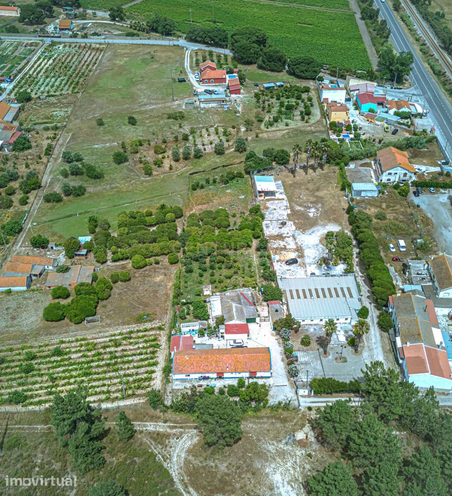 Encantadora Quinta em Palmela com 5200m2 e 196m2 privativos - Grande imagem: 3/40
