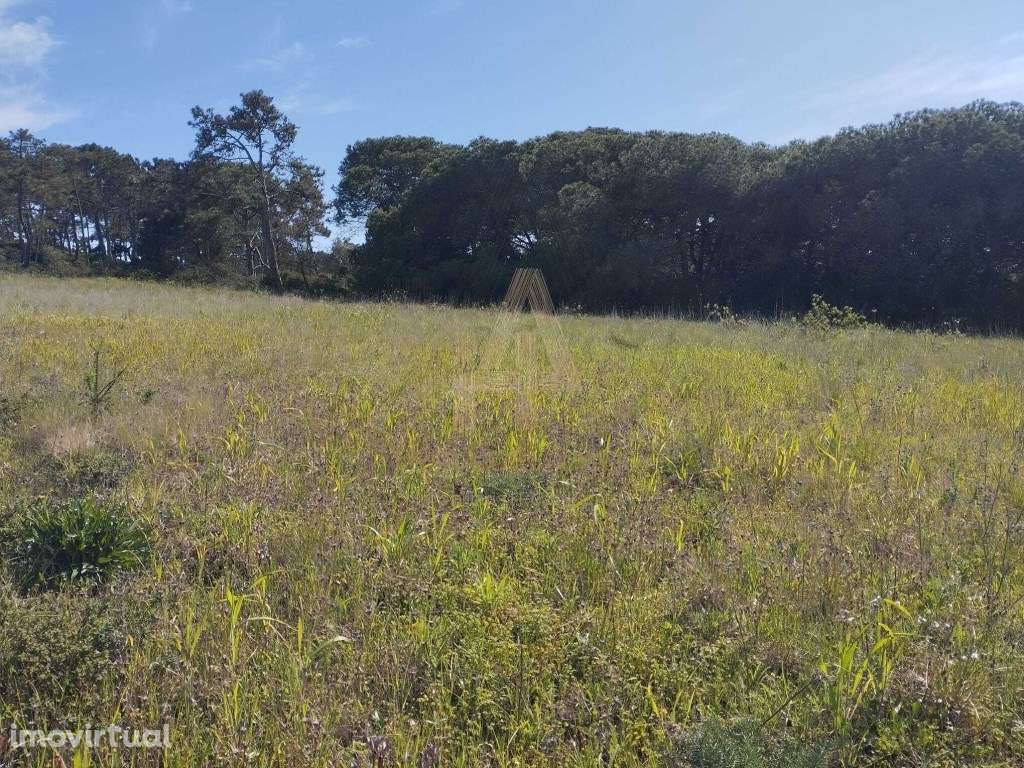 Terreno em Sesimbra (Castelo) - Grande imagem: 5/7