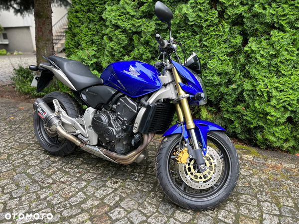 Honda Hornet