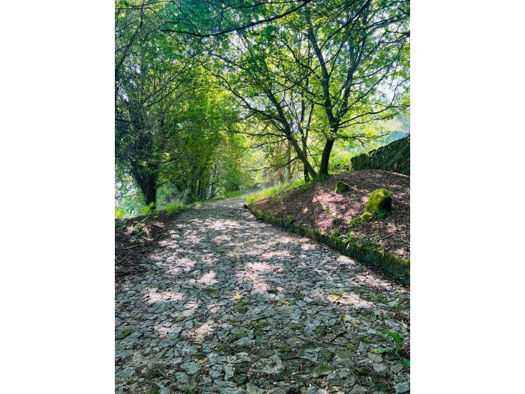 Quinta Rural com 5 moinhos em Covas, Vila Nova de Cerveira - Grande imagem: 3/19