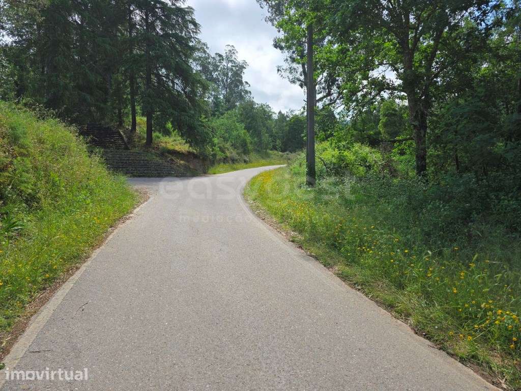 Terreno composto por artigo urbano e rústico em Arganil - Grande imagem: 2/8
