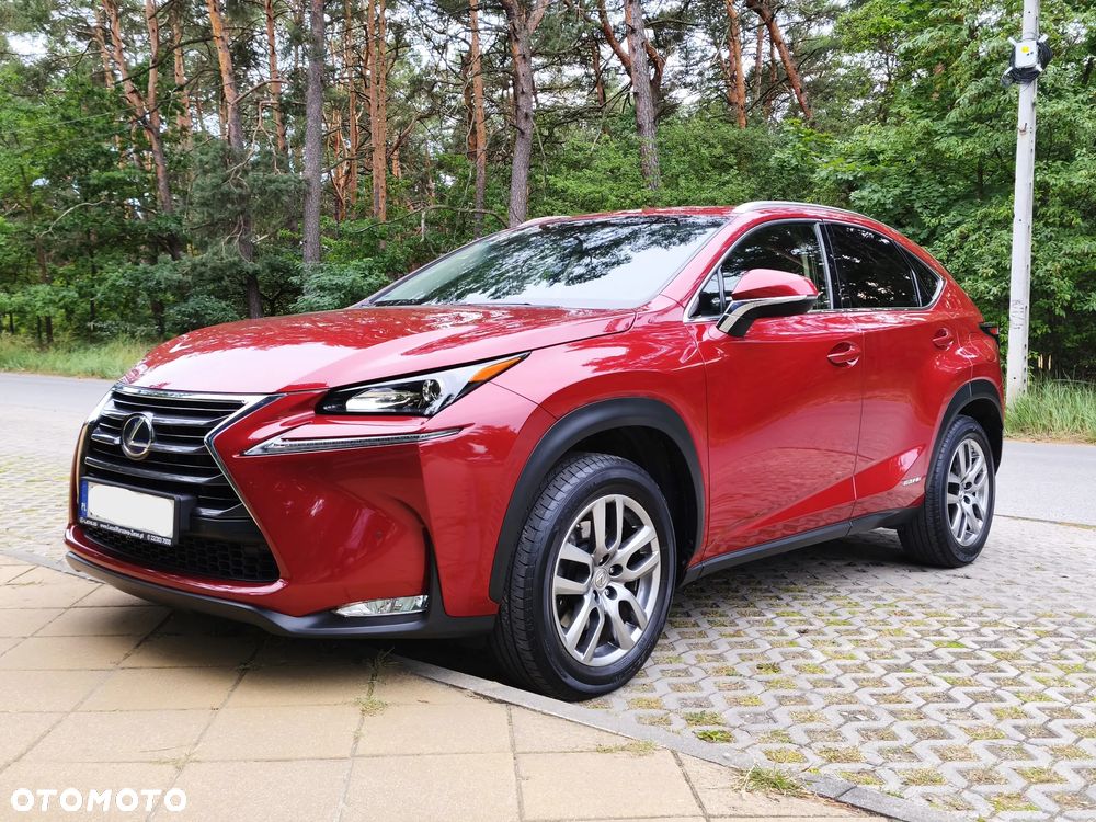 Lexus NX 300h Comfort AWD - 1